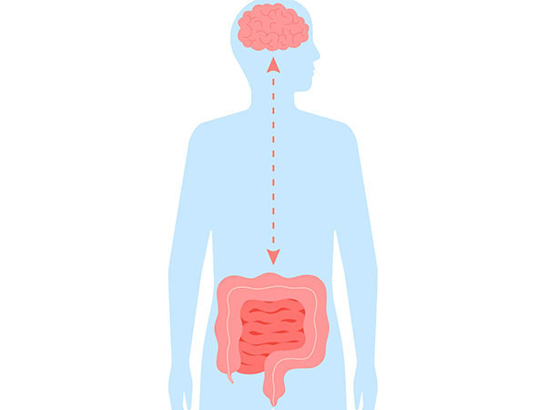 abstracted illustration of a human body with the figure in light blue and the brain and intestines shown in red, with a two-way arrow highlighting the connection between brain and gut